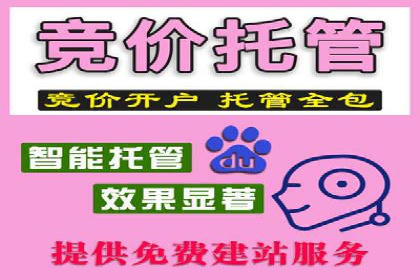案例解析：百度推广排名提升的实战技巧
